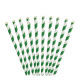 250 pailles papier vert biodégradable