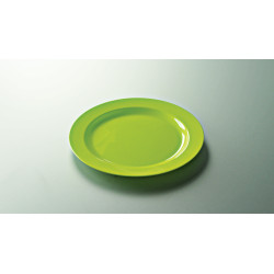 Assiette plastique réutilisable ronde 24 cm couleur anis par 12