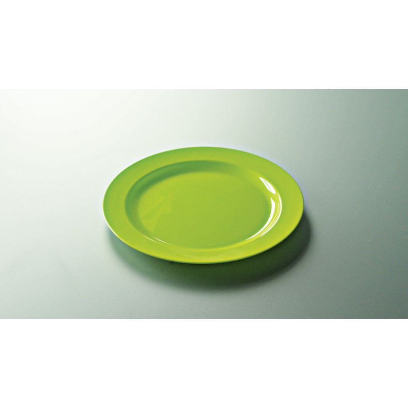 12 Assiettes ronde 24 cm plastique réutilisable couleur vert anis