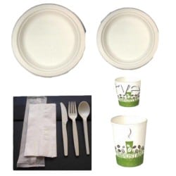 Carton de 500 assiettes jetable plate Ø 23 cm ivoire fibre