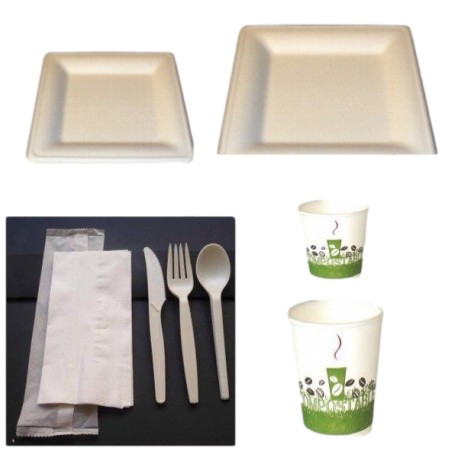Pack carré 2 vaisselle écologique en canne à sucre et biodégradable