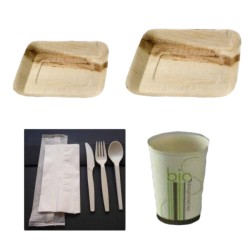 Kit Vaisselle palmier biodégradable pour 25 personnes
