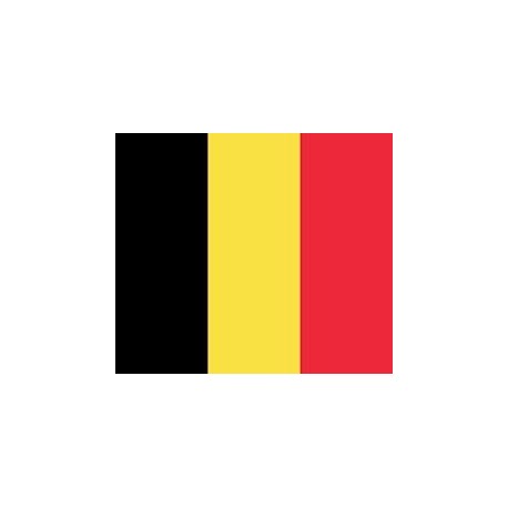 Serviette cocktail jetable drapeau belge intissé 25x25 cm par 20