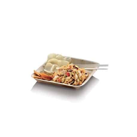 Assiette palmier biodégradable carrée 17 cm par 25