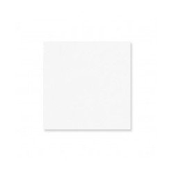 Serviette cocktail biodégradable 20 cm blanc 100P