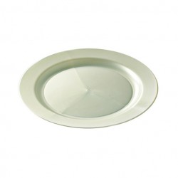  Assiette plastique réutilisable mariage ronde 24 cm blanc nacré