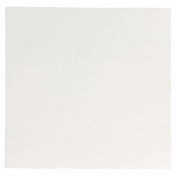 Serviette papier jetable biodégradable double point 33x33 cm blanc par 50