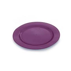 Assiette ronde plastique rigide aubergine 26 cm par 6