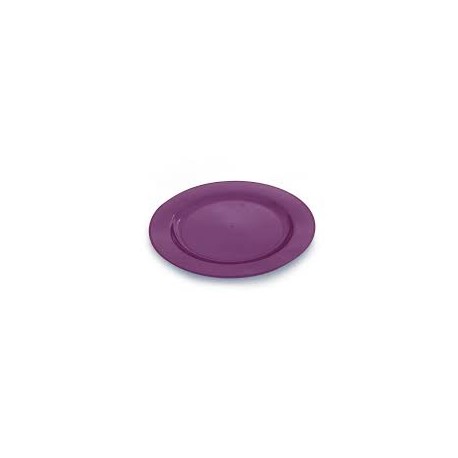 Assiette ronde plastique rigide aubergine 26 cm par 6