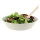 Assiette Creuse incassable pour salade 