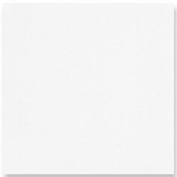 Serviette de table blanche papier intissé Paviot 40x40 cm par 20