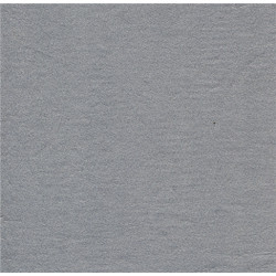 Serviette Paviot argent uni en intissé 40 cm par 20