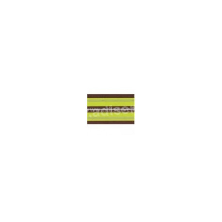Set de Table en papier Rayures Anis Argent par 10