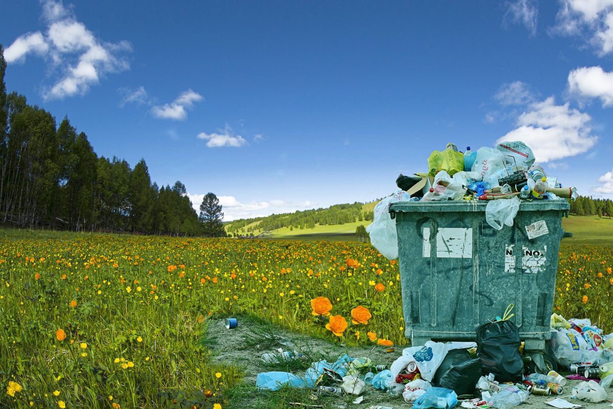 Interdiction de la vaisselle en plastique jetable en janvier 2020