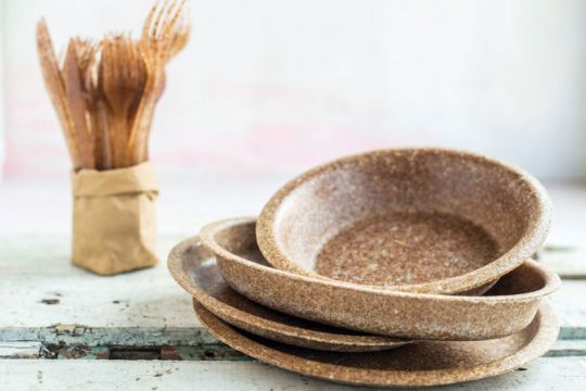 Vaisselle compostable